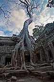 Ta Prohm temple - the imposing eastern gopura of the fourth enclosure